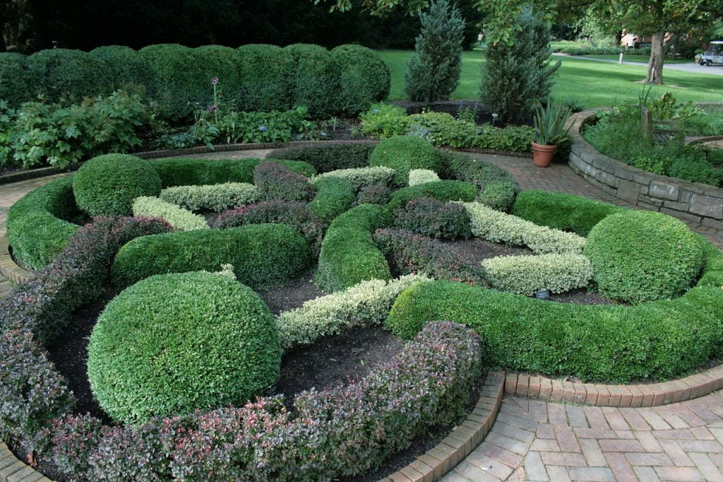 6 Best Plants for Steep Hillside Organize With Sandy