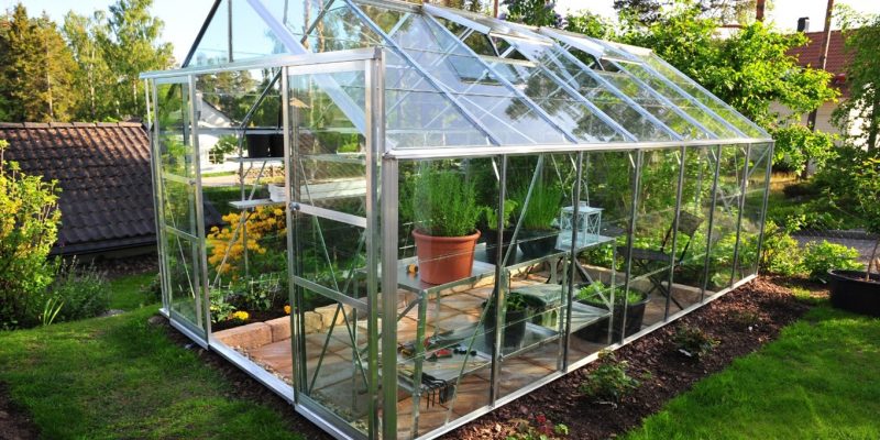 Can I Grow Anything in My Greenhouse During Winter