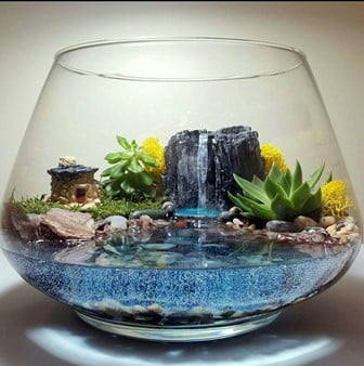 Coloured Water Terrarium