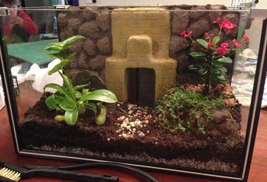 Garden Terrarium Idea