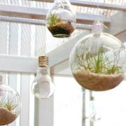 Hanging Terrarium Ideas