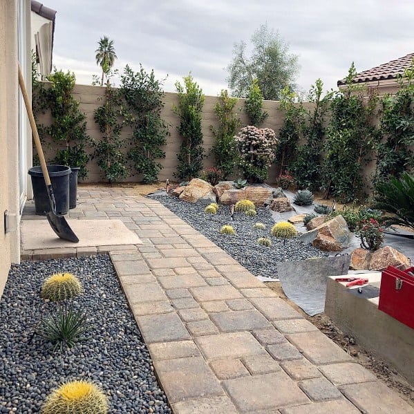 Desert Landscaping: How to Do It? - Organize With Sandy