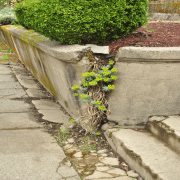 How to Repair A Retaining Wall [Common Reasons and Solutions