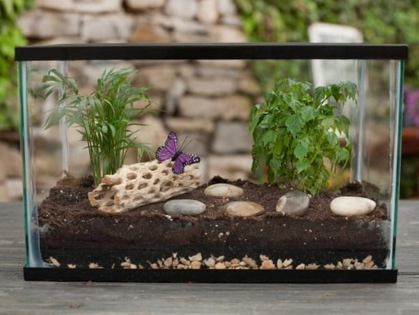 Miniature Indoor Garden