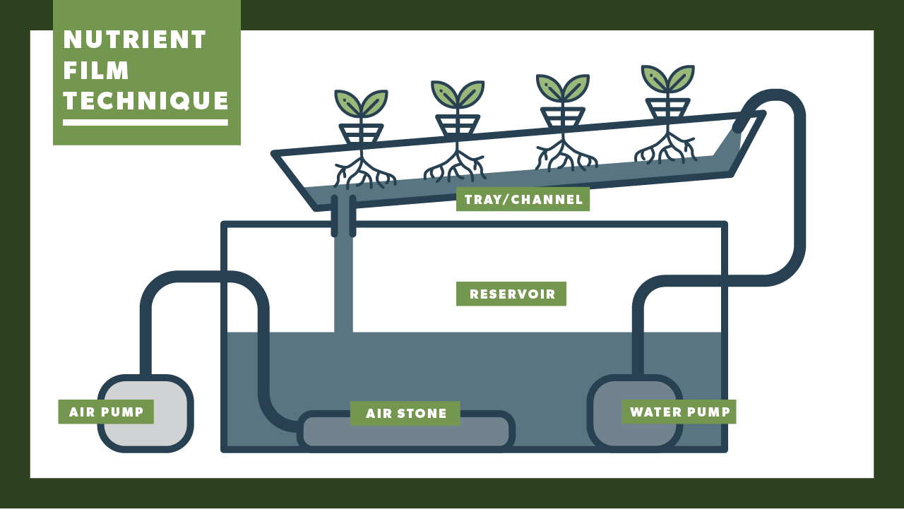 Nutrient Film System