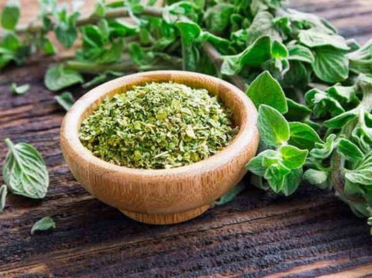 Oregano