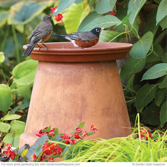 Simplest Bird Bath