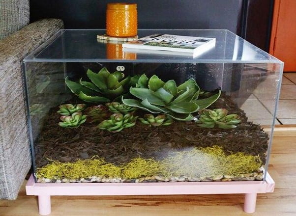 Terrarium Side Table