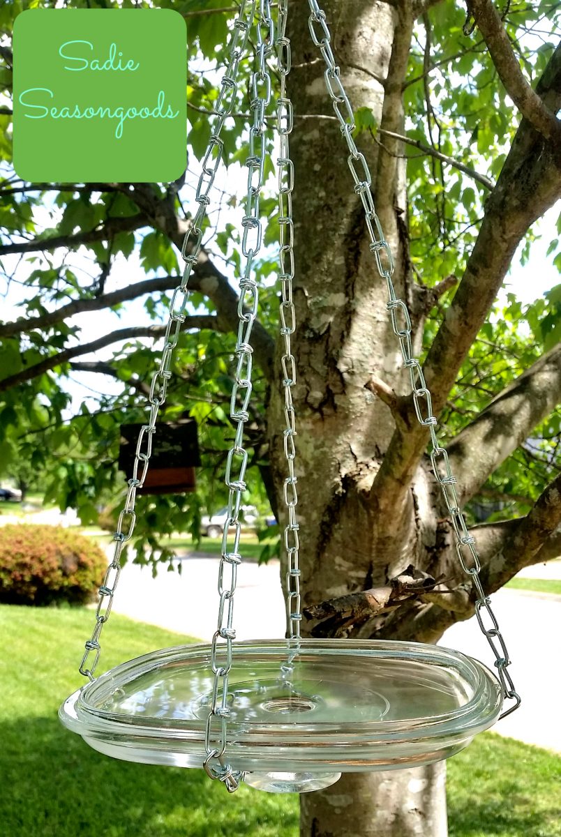 The Glass-Lid Birdbath