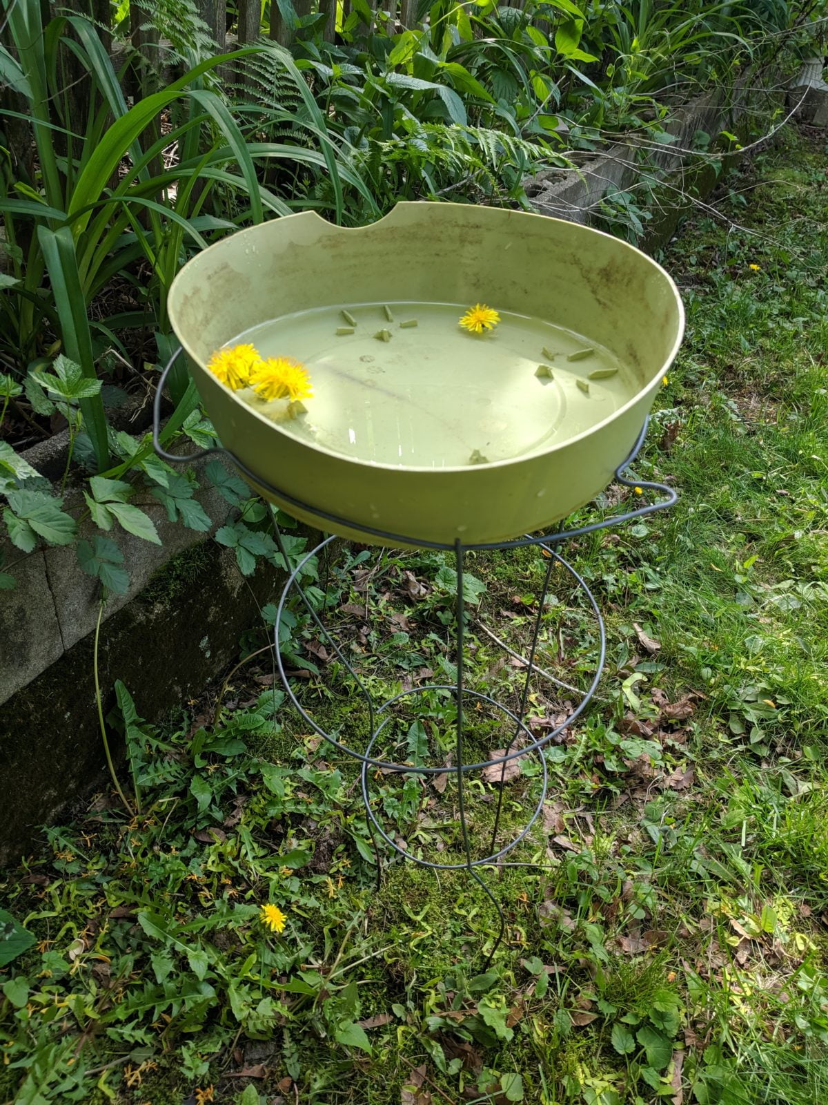 Tomato-Cage Birdbath