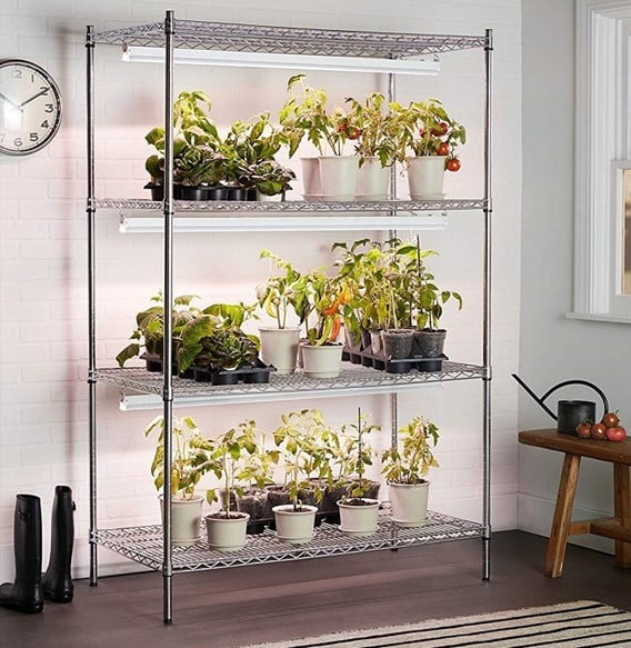 Types of Grow Lights