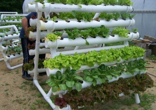 Types of Hydroponic Farming