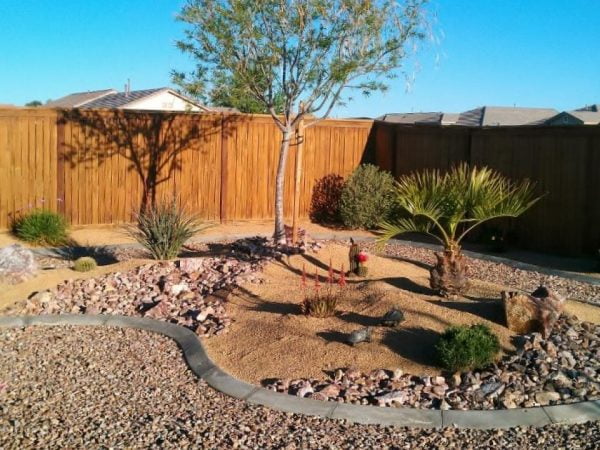 10 Hardy Trees for Desert Landscaping: Low Maintenance and Lush ...