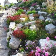 What Kind of Rock To Use On Hillside Landscaping