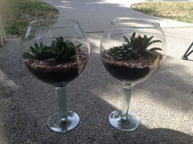 Wine Glass Terrarium