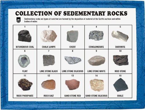Collection of Sedimentary Rocks