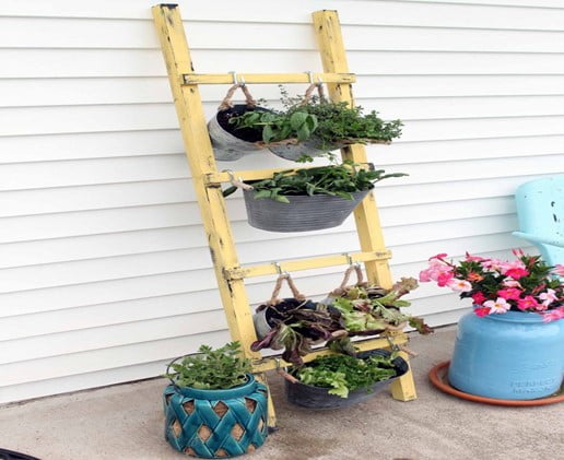 DIY Old Ladder Vertical Garden