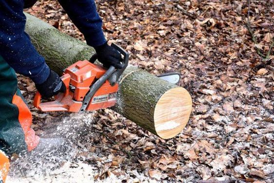 Greenworks 40V Chainsaw