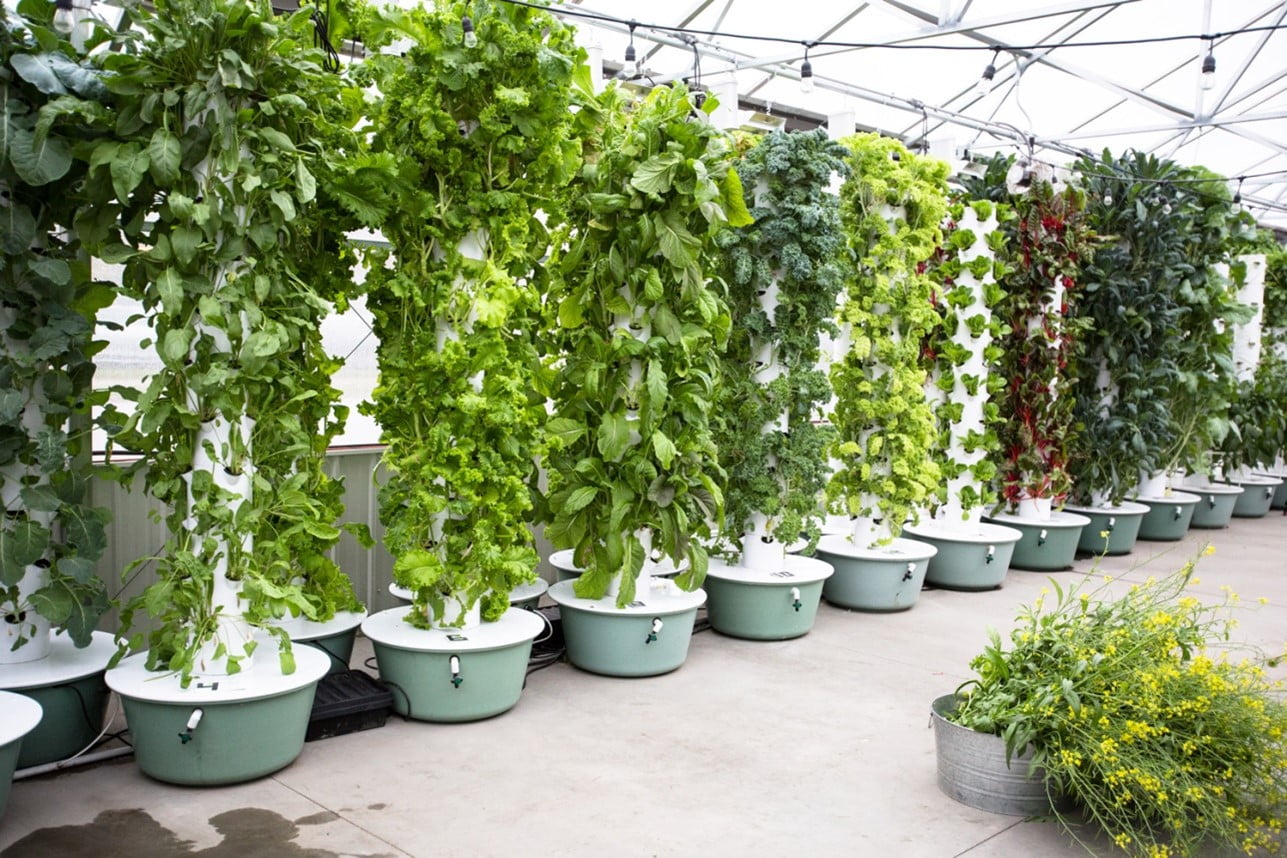 How To Make Hydroponic Systems at Home