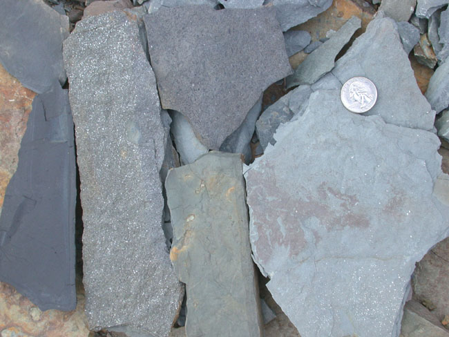 Mudstone or Shale