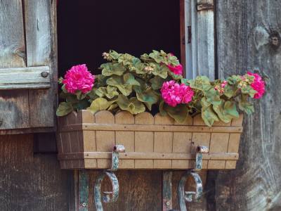 8 Best Hanging Planter Boxes You Can Buy