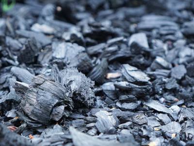 Activated Charcoal vs. Charcoal What's the Difference
