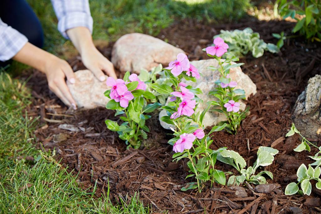 Add Plant Bed Patches