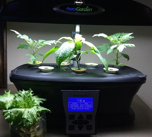 AeroGarden And Hydroponic Farming