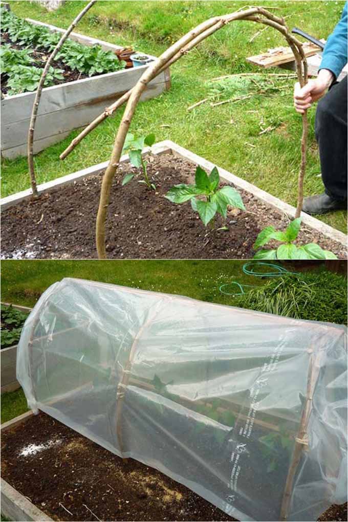 Cedar Branch Garden Hoop House