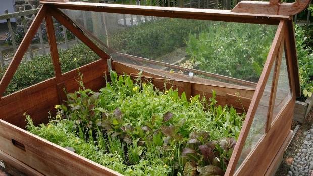 Cold Frame Greenhouse