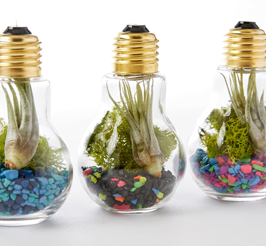 10 Adorable Miniature Terrarium Ideas You Must Try: Cute and ...