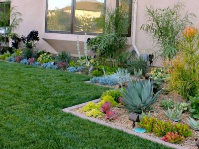Desert Plants That Are Excellent for Landscaping