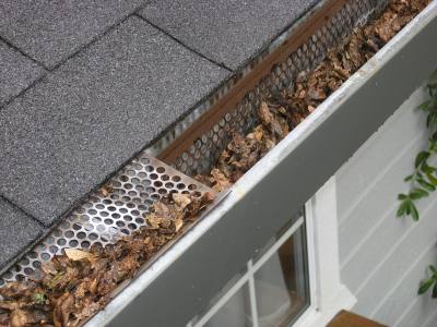 Do You Have Gutter Guards Learn the Disadvantages of Having One