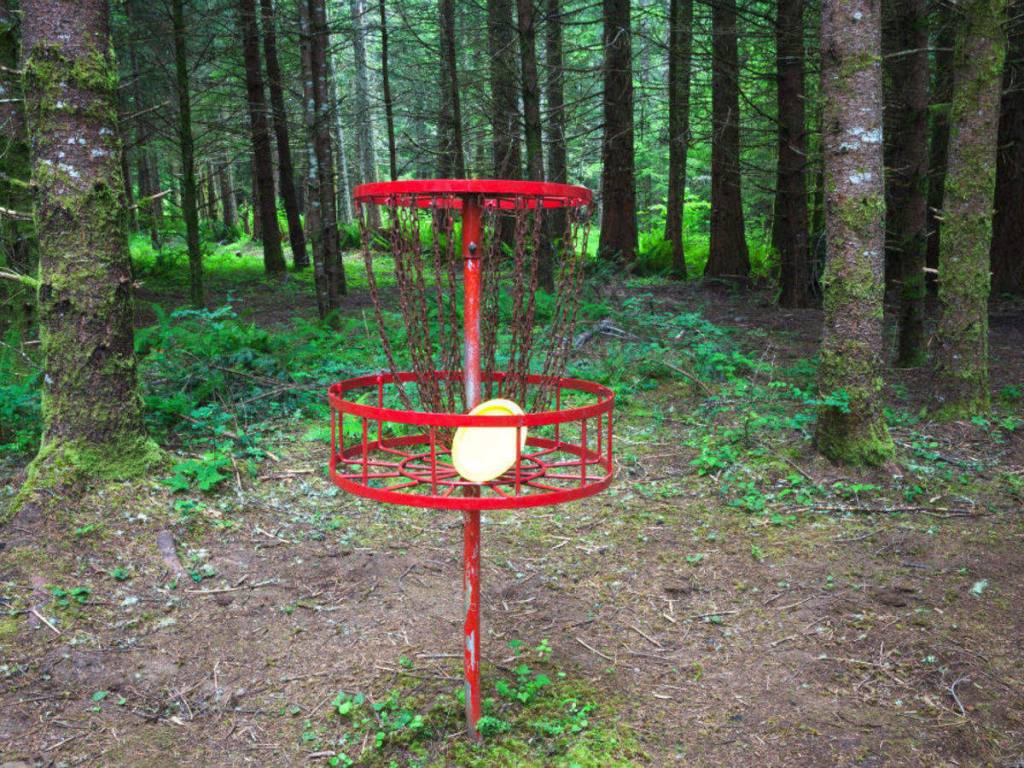 Frisbee Golf