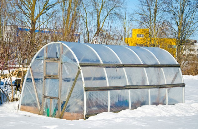 Greenhouse Winter Garden