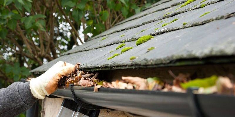 How Frequently Should the Gutters Be Cleaned