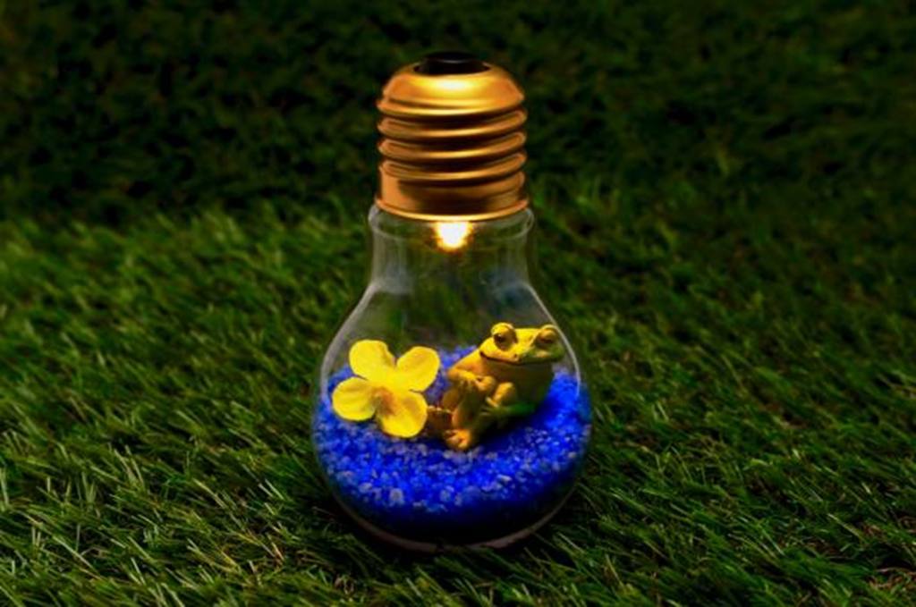 Light Bulb Terrarium