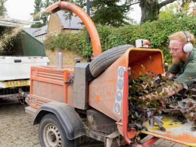 Rent a Woodchipper A Guide for Tree Removal