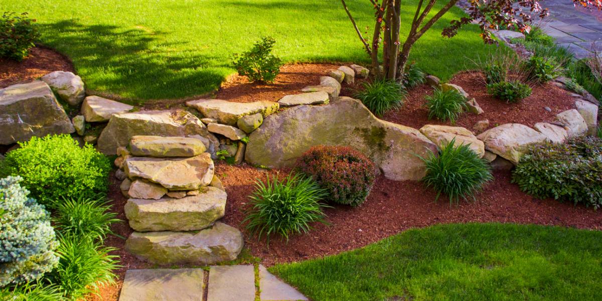 what-is-the-purpose-of-rocks-in-your-lawn-organize-with-sandy