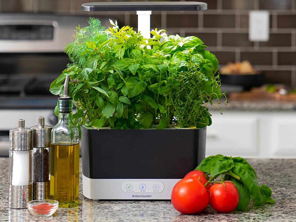 What is an Aerogarden and Why You Should Invest in One - Organize With