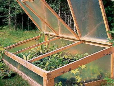 diy greenhouse and cold frames
