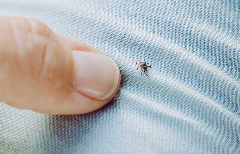 tick bite prevention