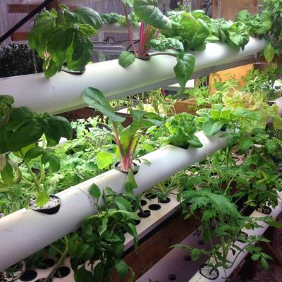 How To Make Your Own DIY Hydroponic Tower Garden - Organize With Sandy