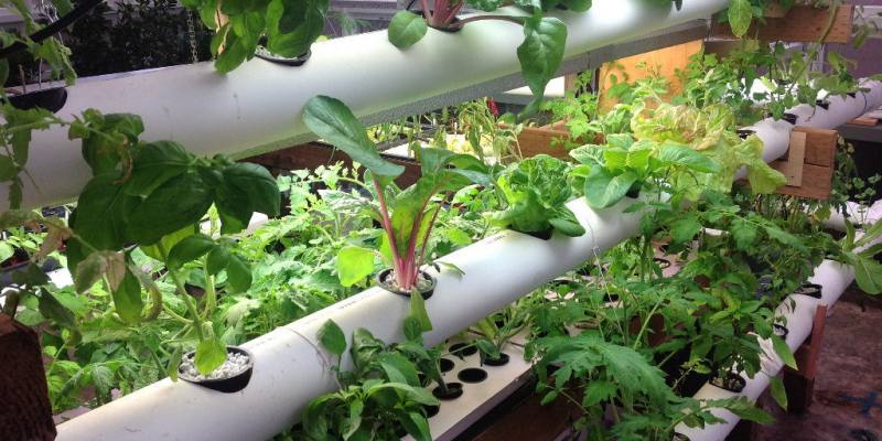 DIY Tower Garden PVC Ideas