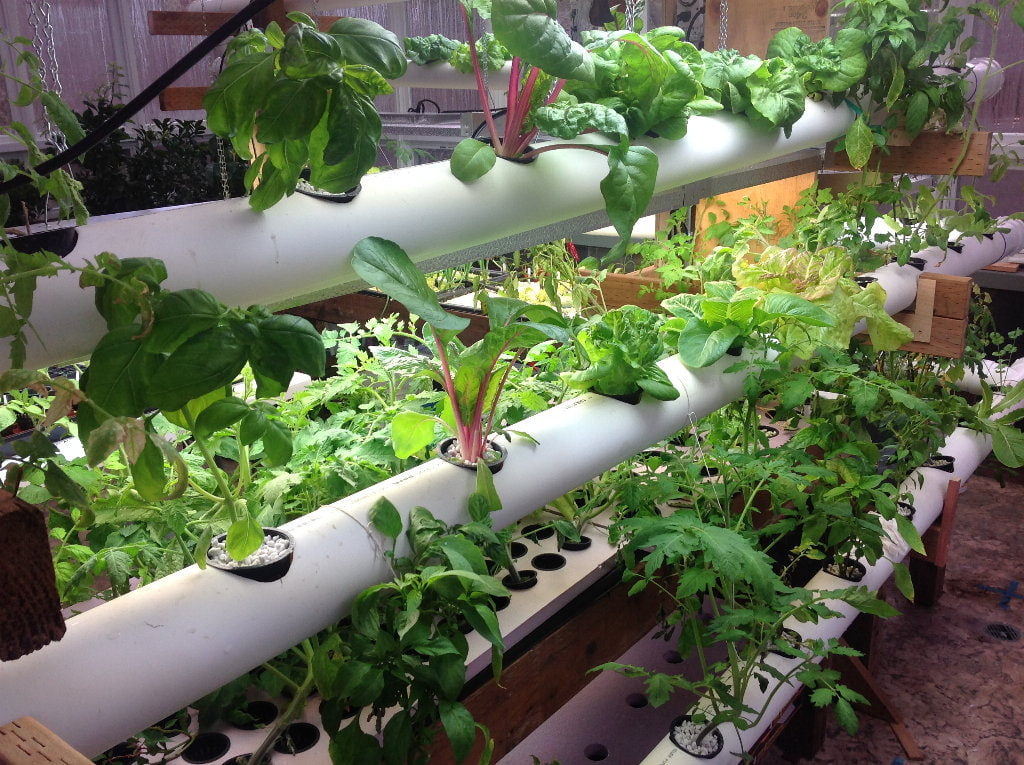 15 DIY Tower Garden PVC Ideas - Organize With Sandy