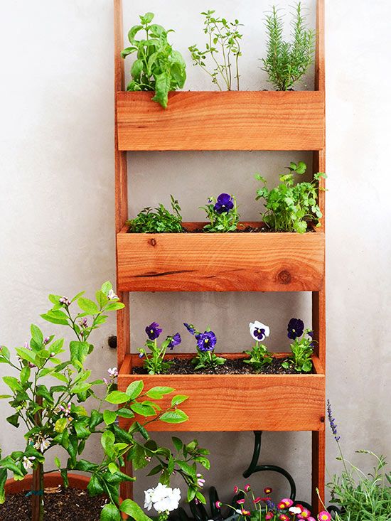 DIY Vertical and Horizontal Flower Ladder Garden