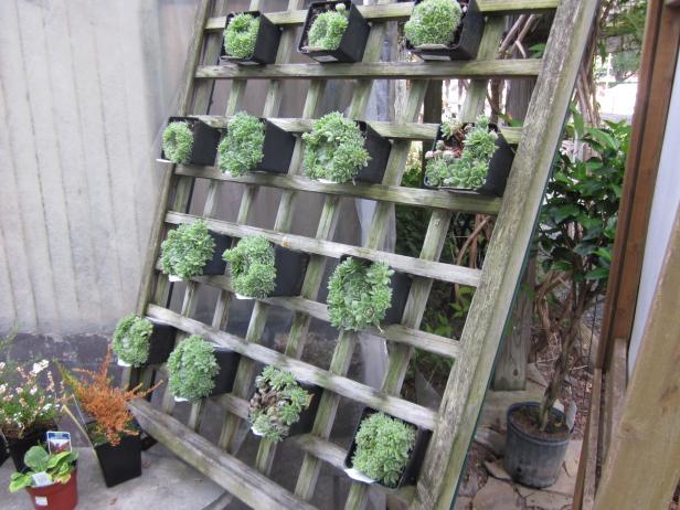 DIY Vertical and Horizontal Garden