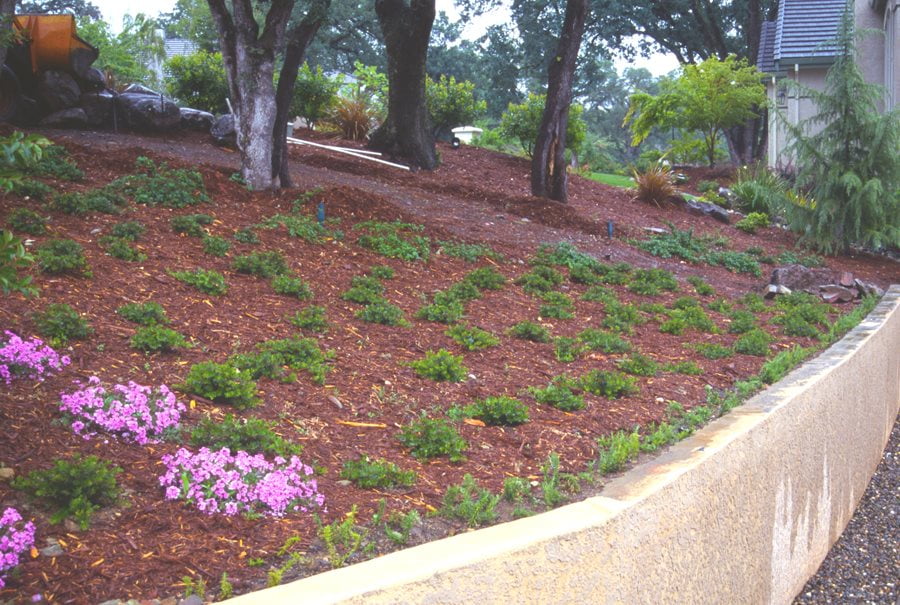 Hillside Erosion Control (Effective Ways of Controlling Erosion