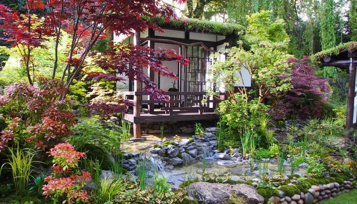 Japanese Garden Zen Gardens, What Plants To Grow In A Japanese Garden