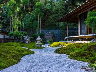 Japanese Garden in Your Backyard